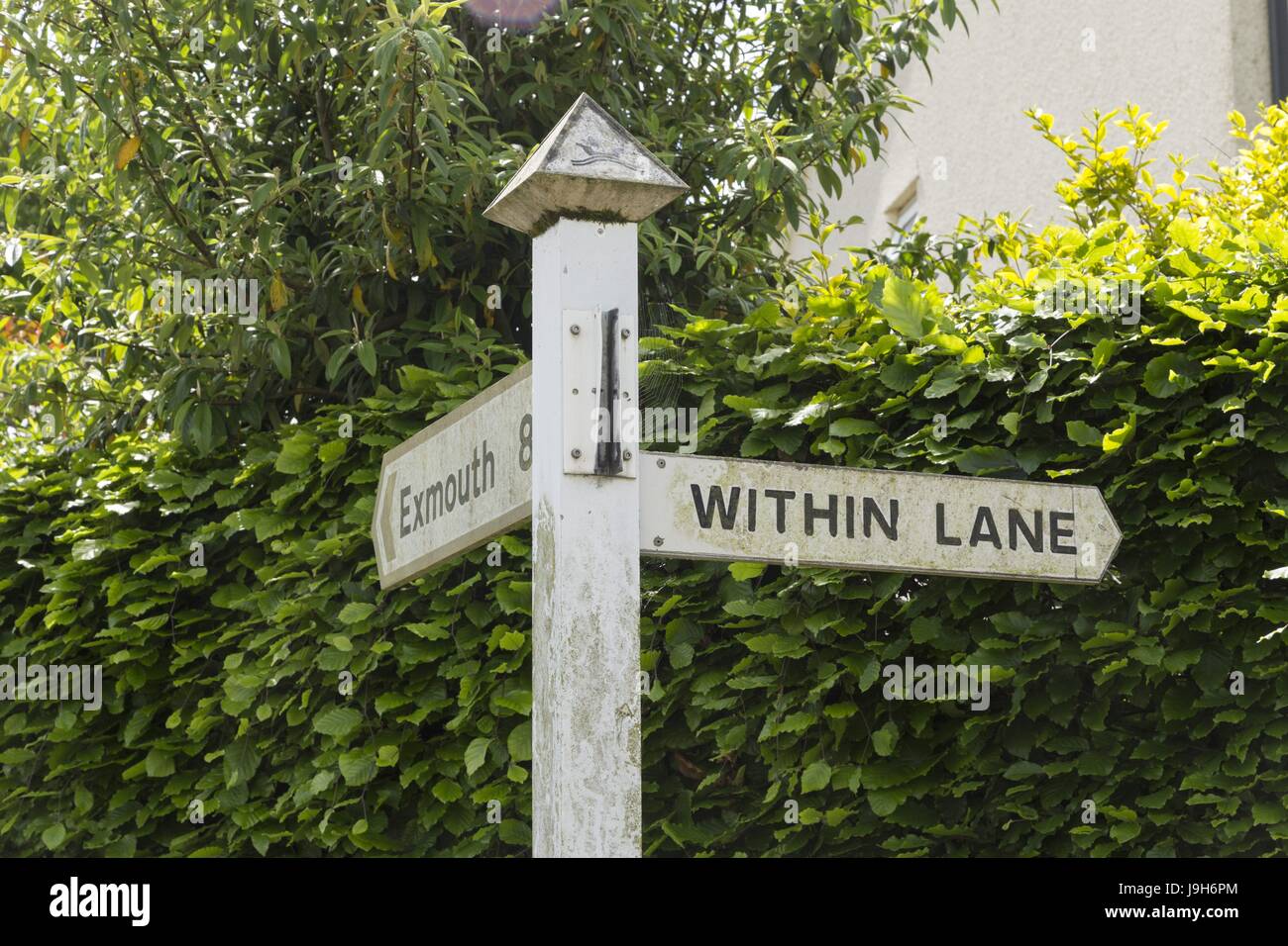 Aylesbeare, Devon, UK. 22 mai, 2017. Dans Lane, dans le village pittoresque de Aylesbeare, Devon, où vivaient et Tate Genette disparu de en 1978. Le conseiller Peter fidèles est en lice avec une manifeste - pour découvrir le reste. Gennette Sa disparition a été la plus longue de la Grande-Bretagne jamais personne disparue de l'enquête. Credit Photo : Alamy/Central Live News Banque D'Images