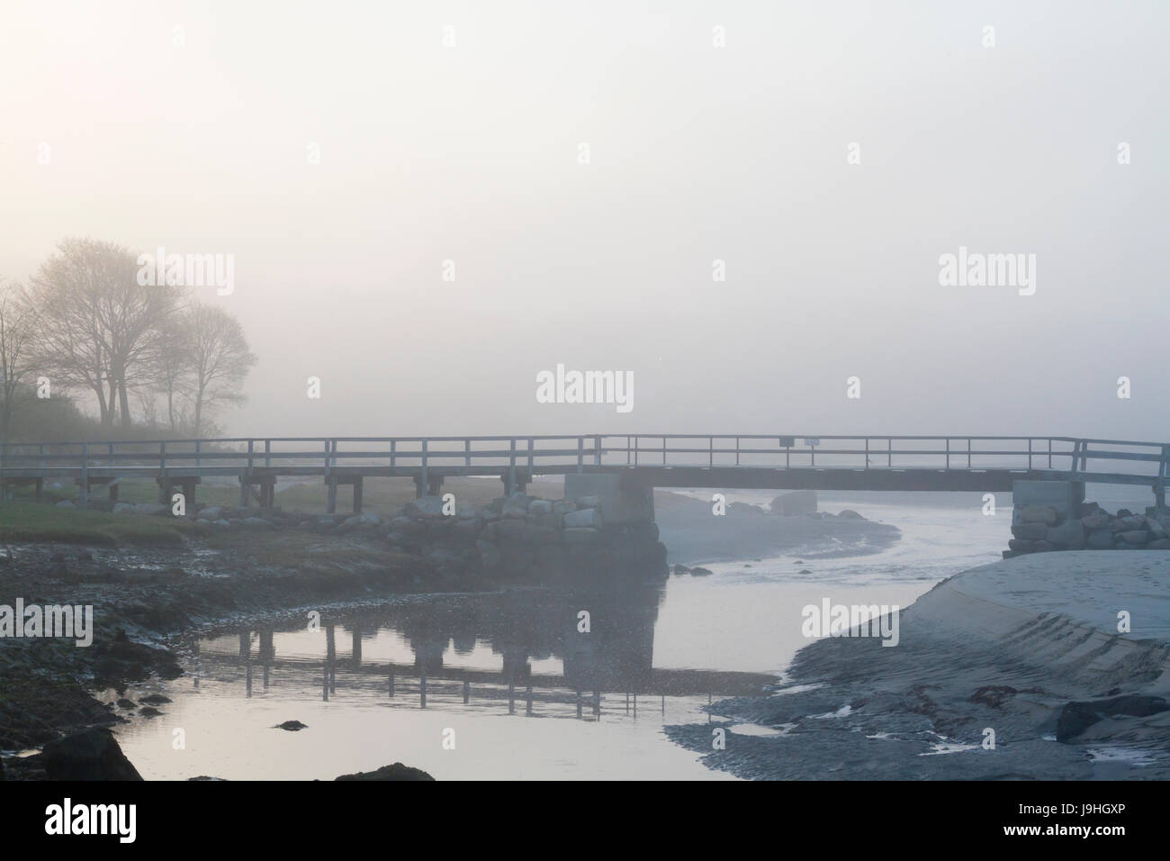 Pont sur Creek et les arbres dans la brume Banque D'Images Pont sur Creek et les arbres dans la brume Banque D'Images
