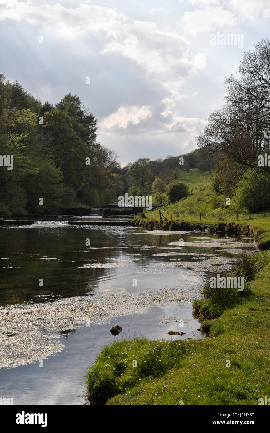 River Lathkill Derbyshire Peak District en Angleterre Banque D'Images
