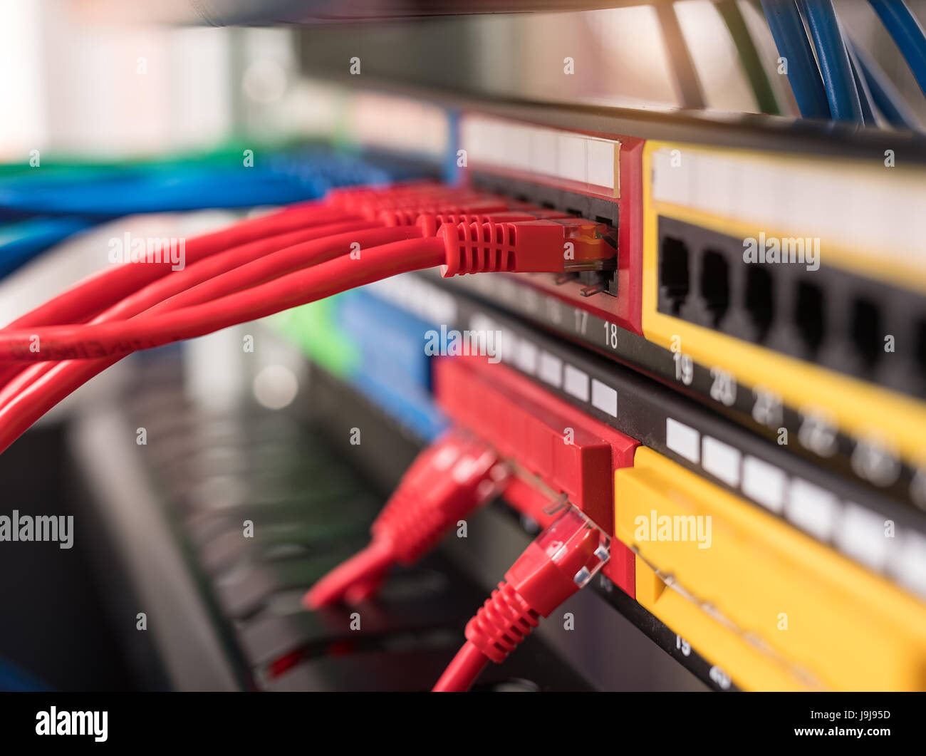 Les câbles du réseau connecté à un commutateur Banque D'Images