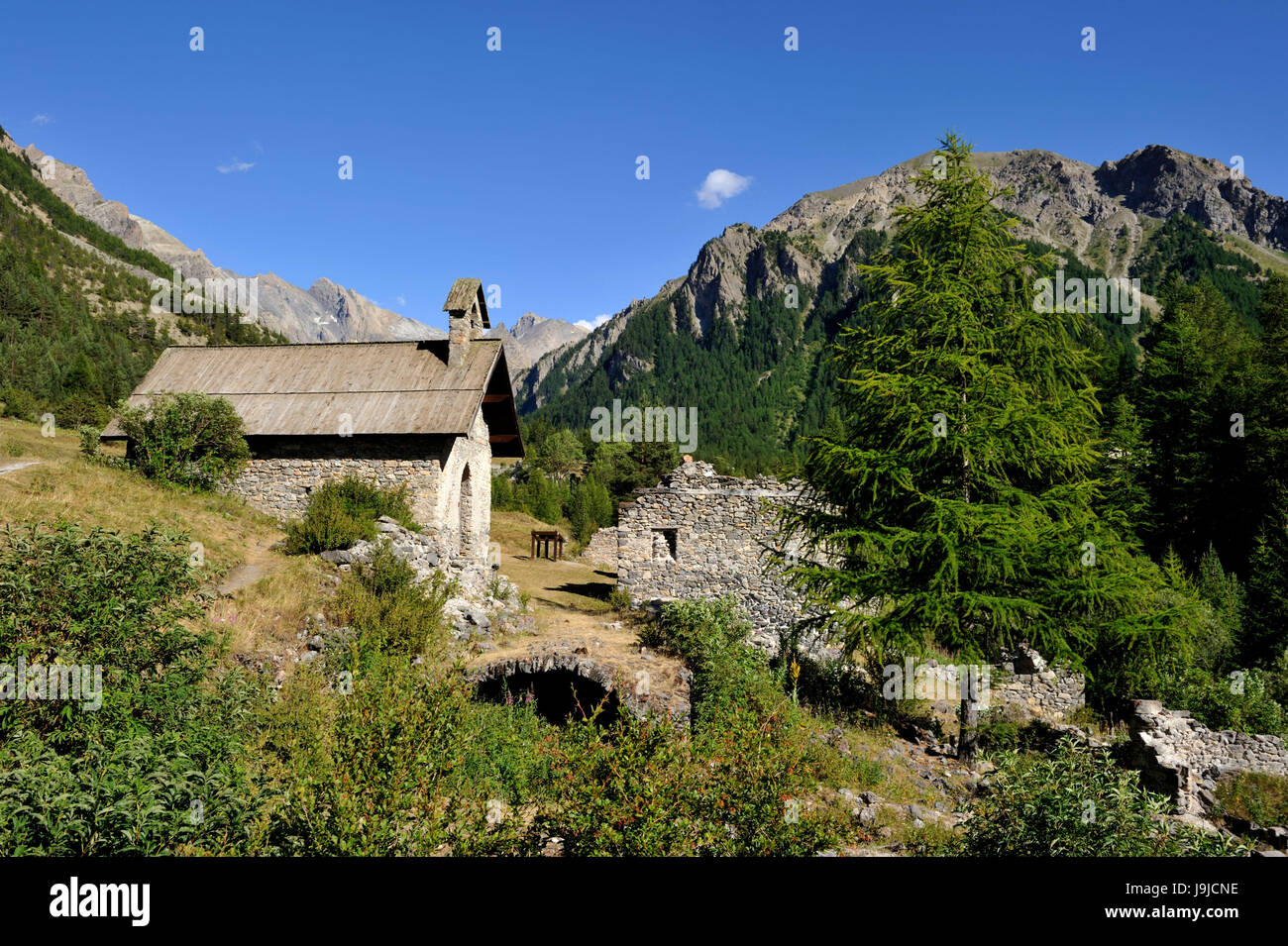 France, Hautes-Alpes, Vars, Parc Naturel Régional du Queyras, le Val d'Escreins parc naturel Banque D'Images