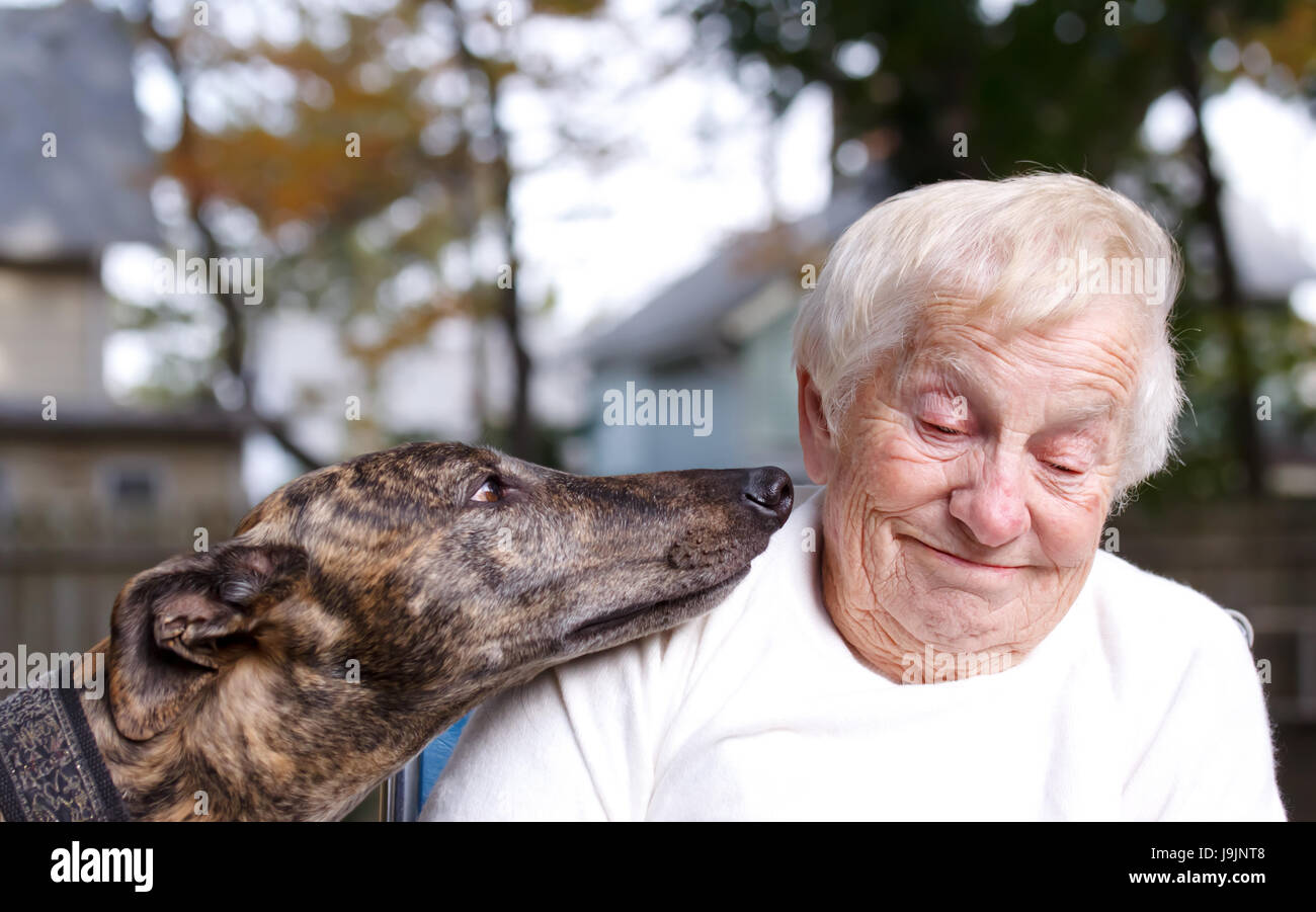 Femme, fauteuil roulant, maison, édifice, gros, grand, énorme, puissant, extrême, Banque D'Images