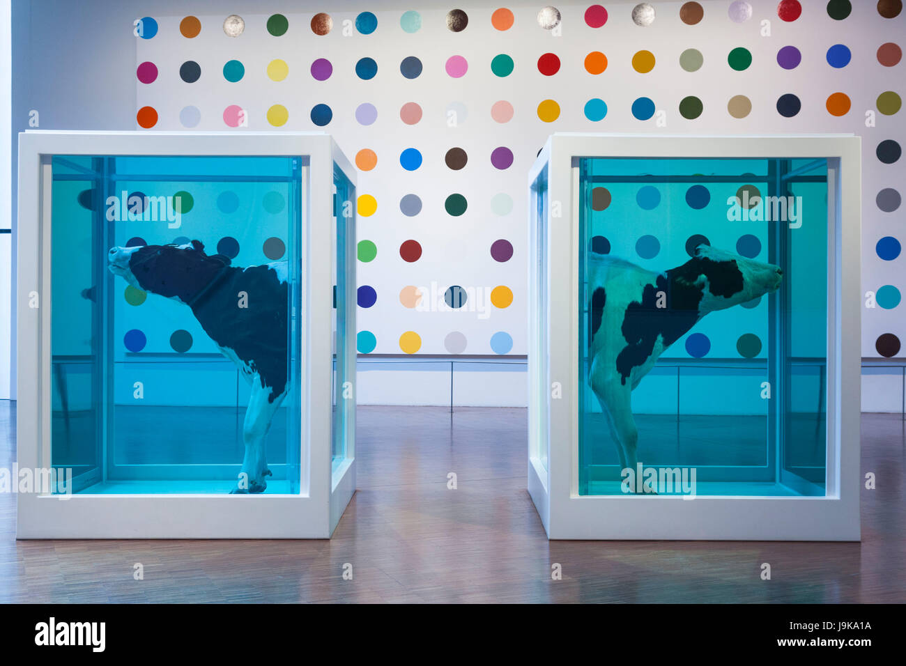 Le Danemark, la Nouvelle-Zélande, l'Oukaïmeden, Arkem Musée d'Art Moderne, le paradoxe de l'amour, par l'artiste Damien Hirst, 2007 Banque D'Images