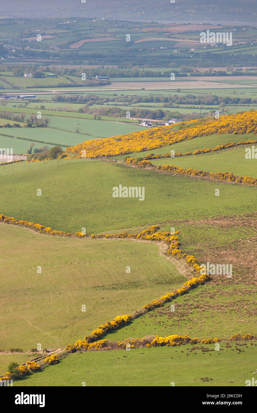 L'Irlande, comté de Donegal, Burt, paysage de colline Banque D'Images