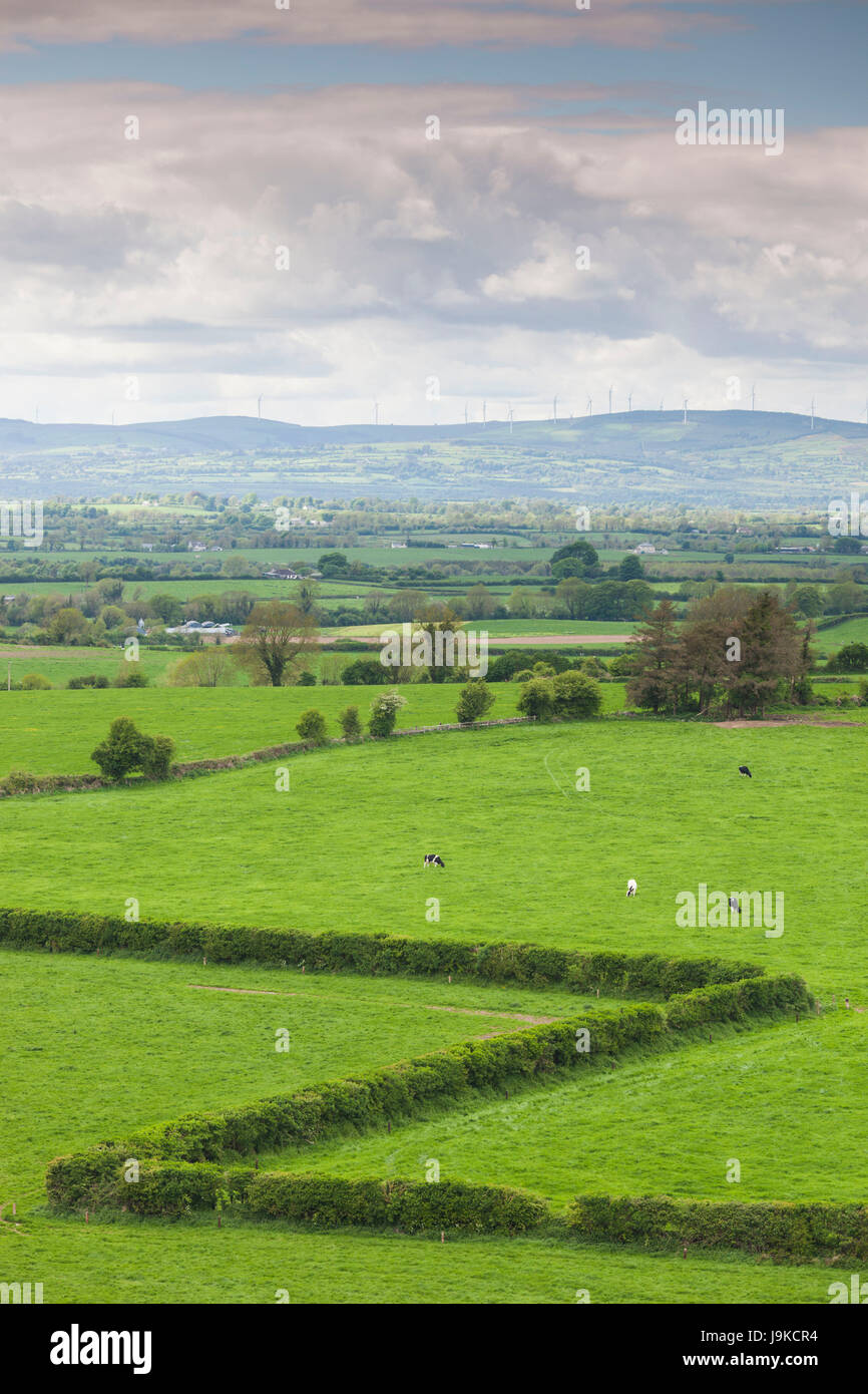 L'Irlande, comté de Tipperary, Cashel, augmentation de la vue sur la campagne Banque D'Images