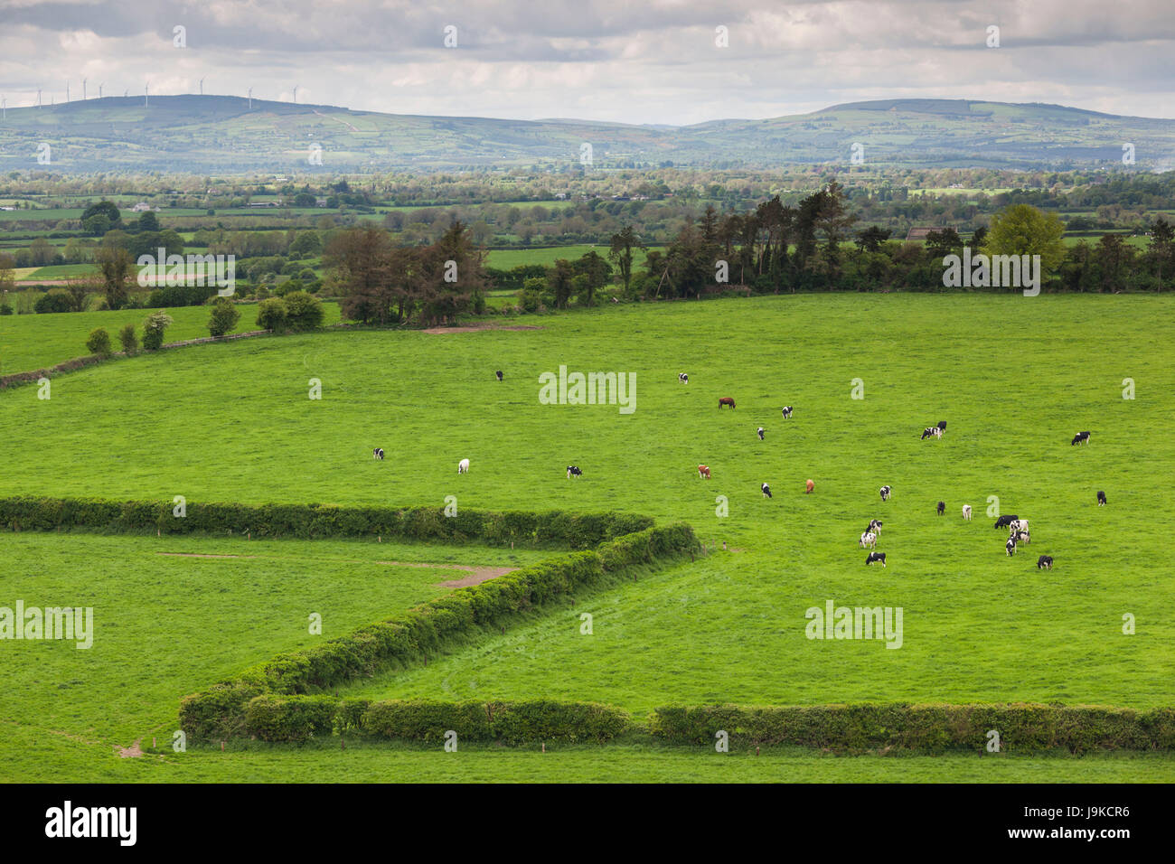 L'Irlande, comté de Tipperary, Cashel, augmentation de la vue sur la campagne Banque D'Images