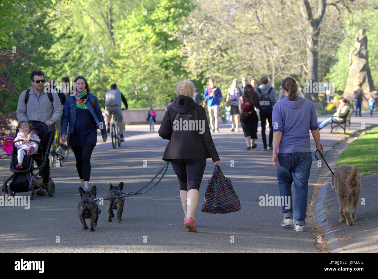 Scène du parc Kelvingrove Glasgow dog walkers Banque D'Images