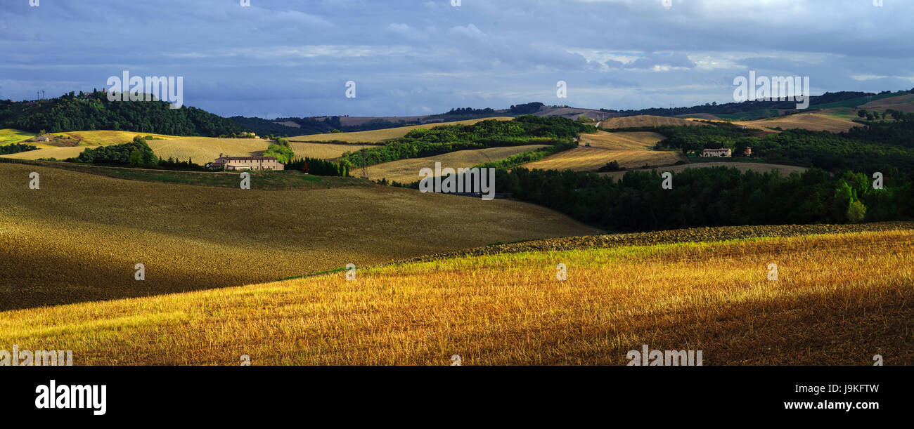 Panorama sur le terrain de la Toscane Banque D'Images