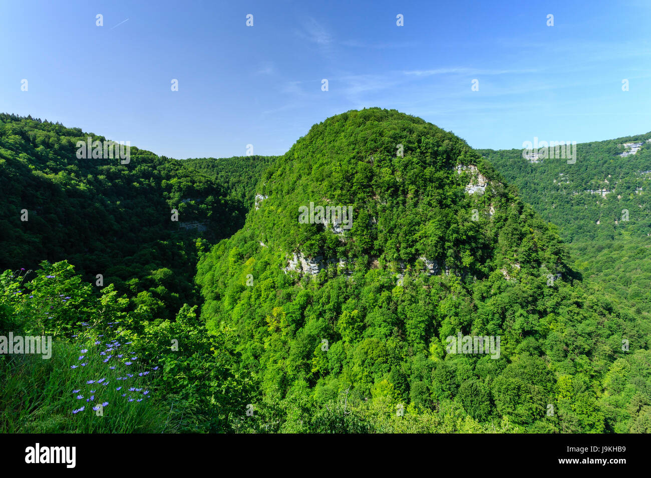 France, Doubs, Mouthier Haute Pierre, la vallée de la Loue au canyon Le Boulou Banque D'Images