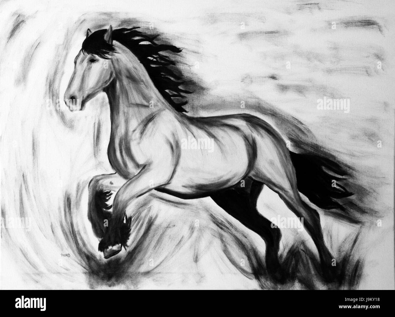 Cheval au galop en noir Banque D'Images