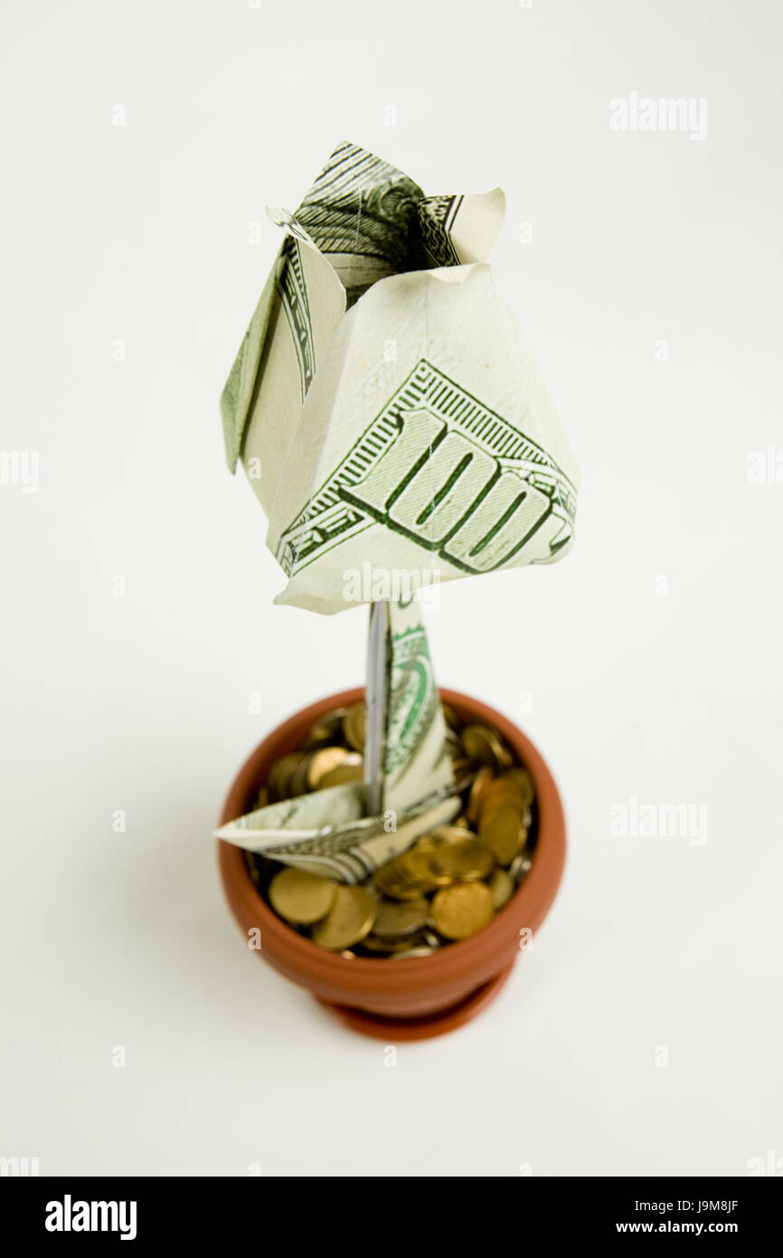 Banque, établissement de crédit, Dollar, Dollar, Objet, isolé, d'emploi, de la monnaie, Banque D'Images