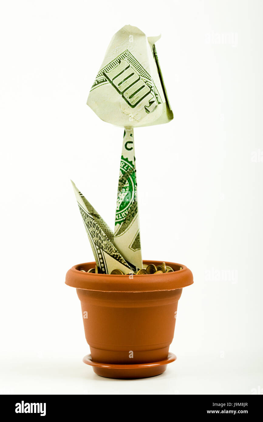 Banque, établissement de crédit, Dollar, Dollar, Objet, isolé, d'emploi, de la monnaie, Banque D'Images