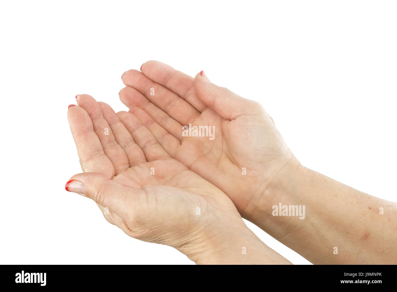 Femme mains tenant un objet invisible isolé sur fond blanc. Geste de paix et de rendre grâce. Deux femmes dont l'étendue jusqu'Palms. Bea Banque D'Images