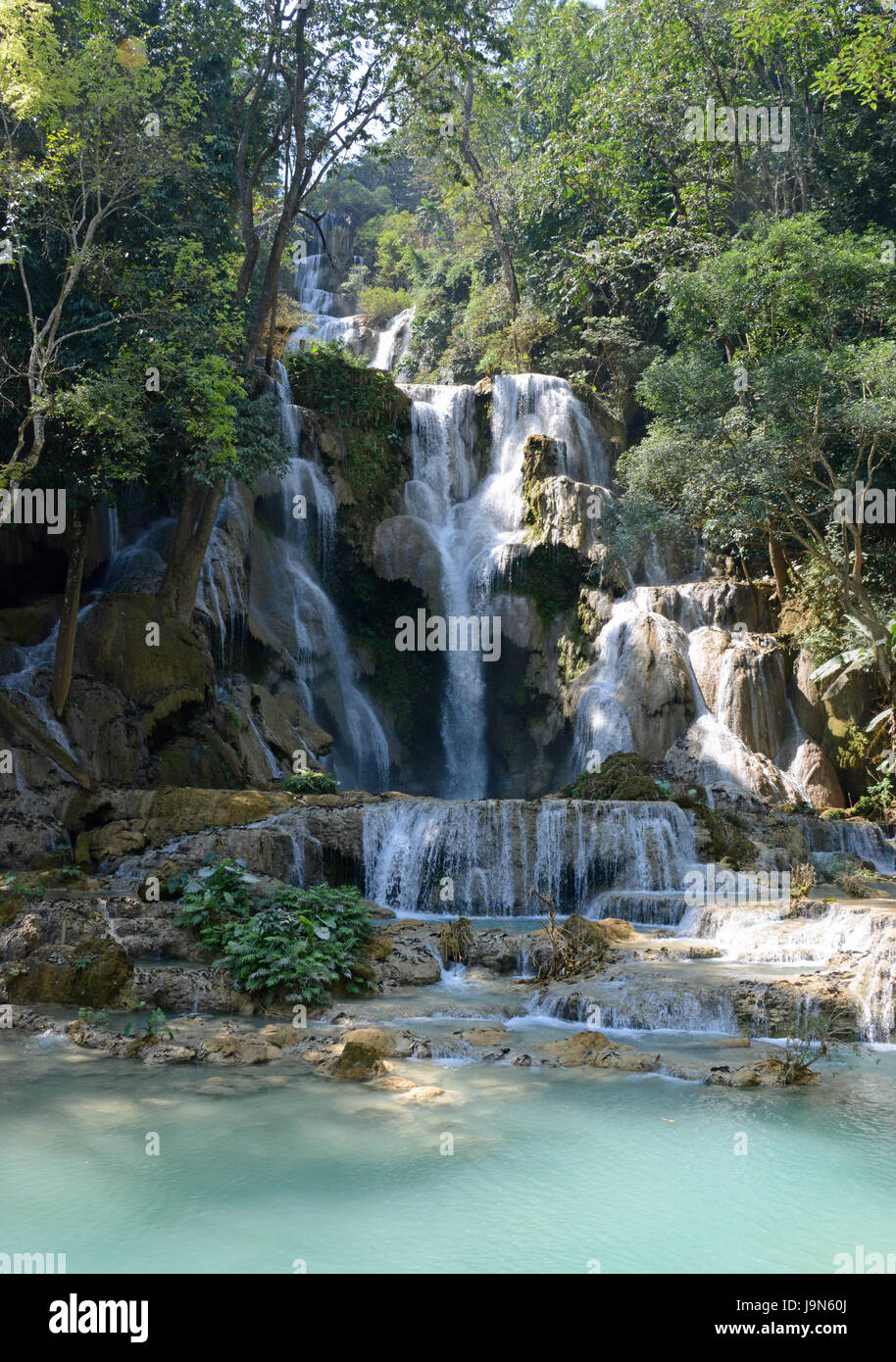 Les cascades de Tat Kuang Si, près de Luang Prabang, Laos Banque D'Images