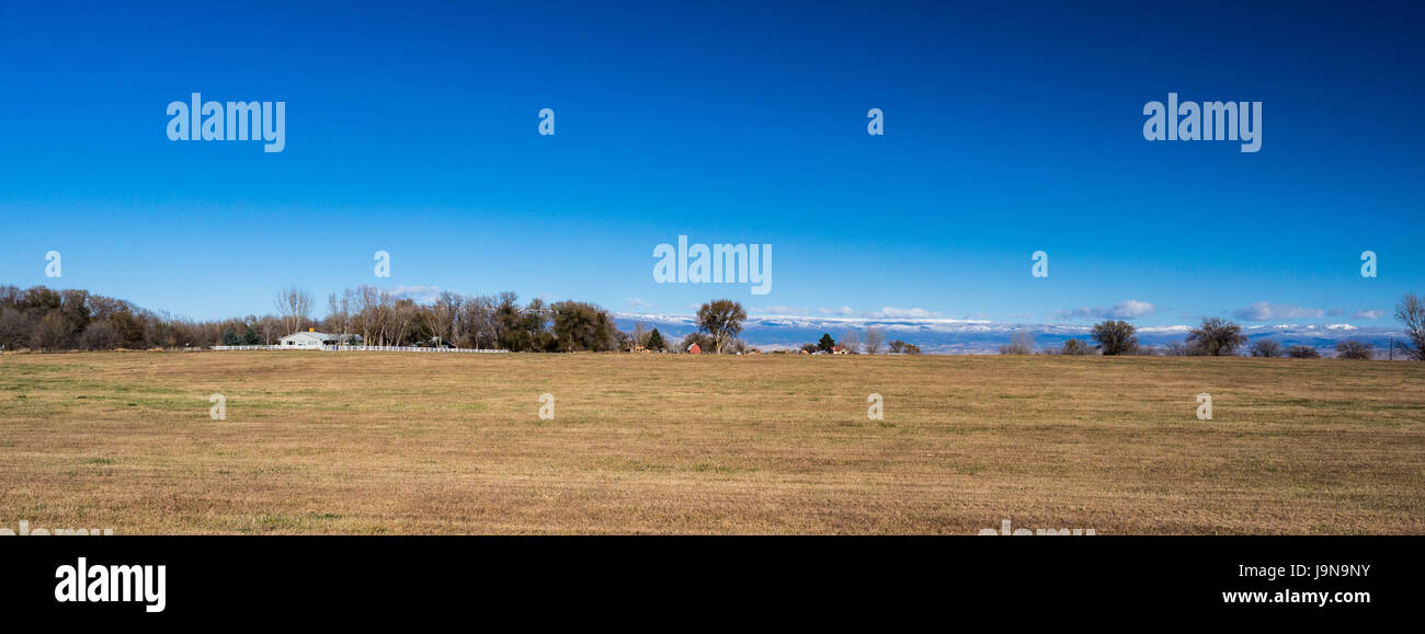 Panorama de champ dans l'ouest du Colorado avec de fermes et de montagne aux prises à Olathe, au Colorado en novembre midi, ciel bleu et vert. Banque D'Images