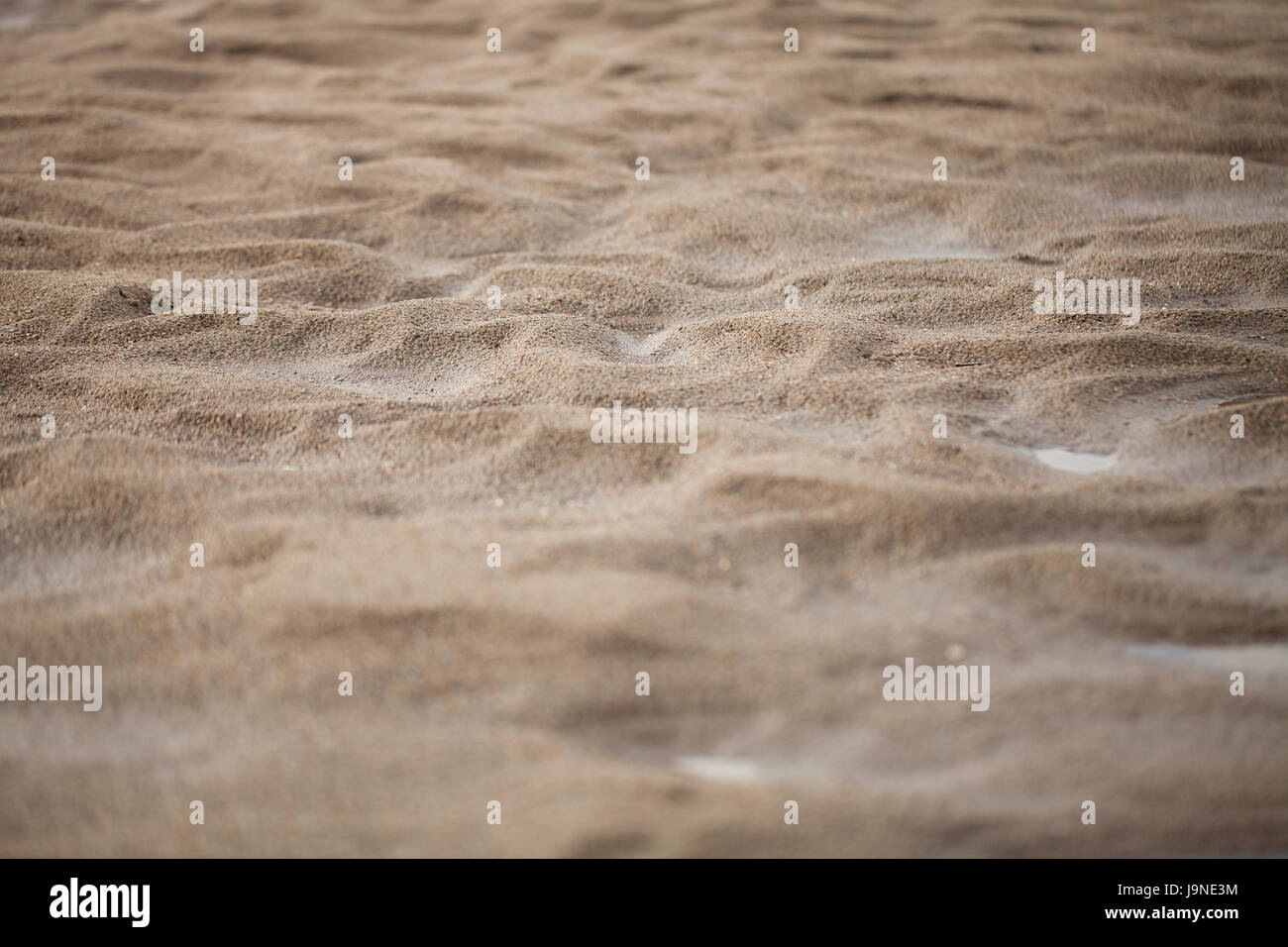 Dunes de sable minuscule faite par le courant de l'eau. Banque D'Images