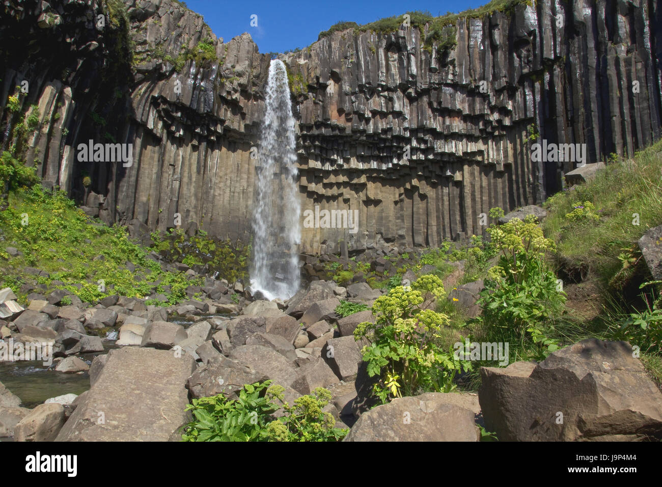 Colonnes, cascade, l'Islande, de basalte, scenic, rochers, cascade, motion, Banque D'Images
