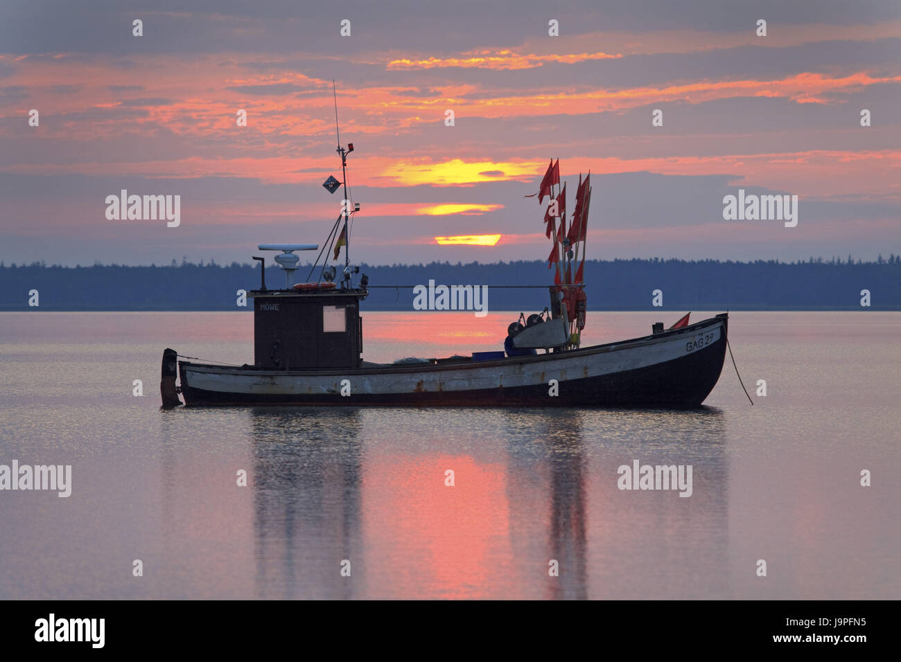 Allemagne,1,l'île de Rügen en mer Baltique,Nouveau,Reddevitz,bateau de pêche,matin, tuning Banque D'Images
