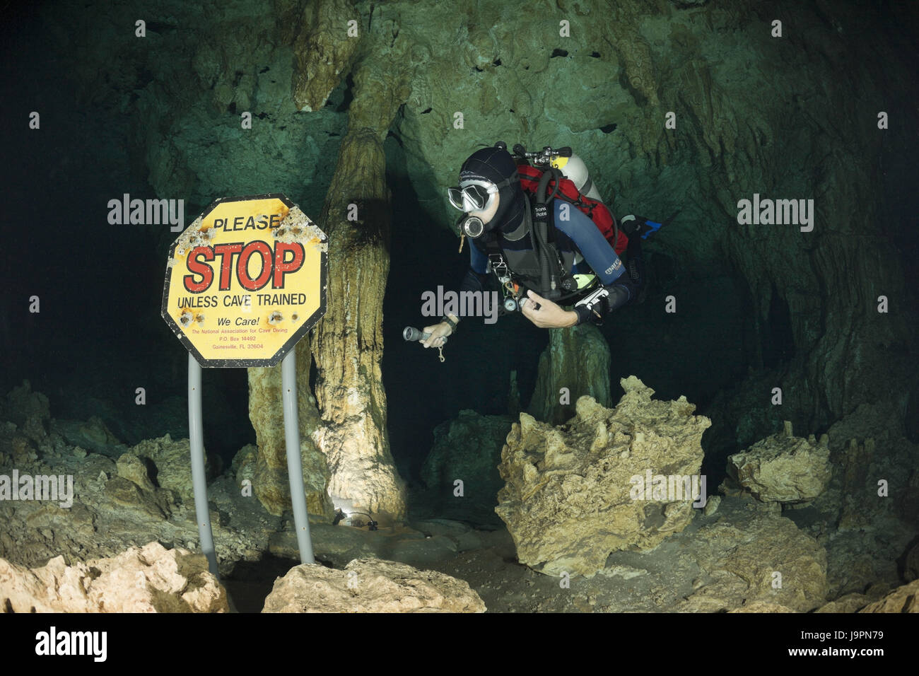 Diver dans le Cenote Aktun ha,'lavage de voiture',Tulum,péninsule du Yucatan, Mexique, Banque D'Images