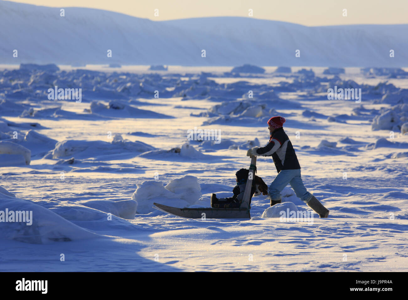 Les Inuits du Groenland,Qaanaaq,,femme,enfant,faites glisser,mer,pousser les glaces,lumière du soir, Banque D'Images