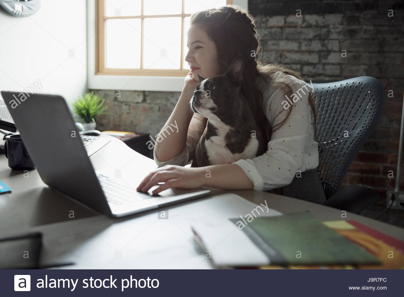 Creative businesswoman working at laptop with dog in lap Banque D'Images