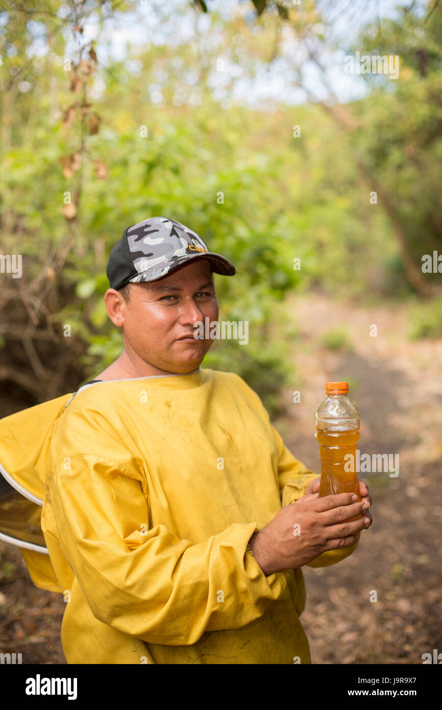 Le miel d'un agriculteur détient une bouteille de miel récolté fraîchement dans Léon Ministère, au Nicaragua. Banque D'Images