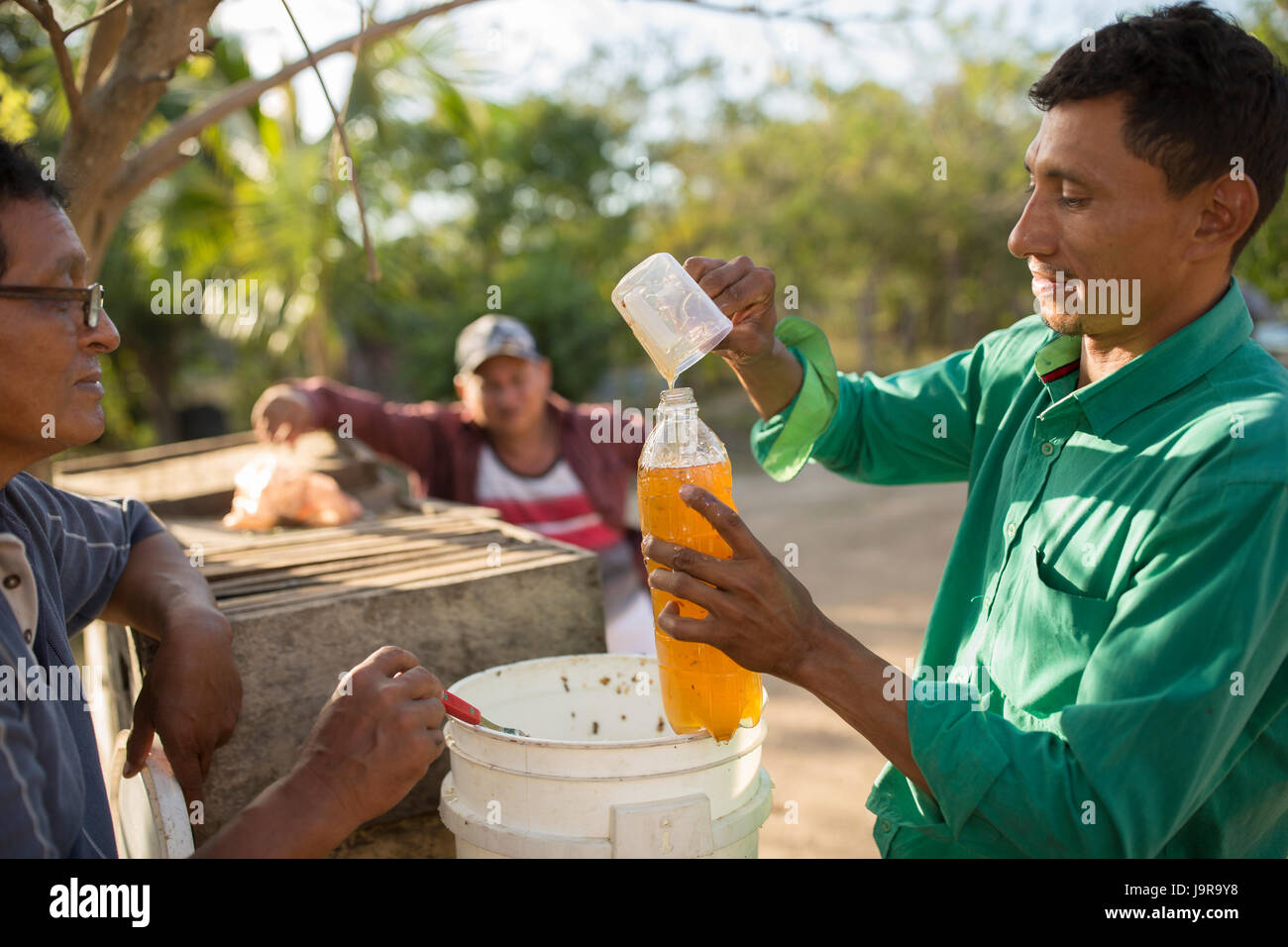Les gardiens des abeilles du miel fraîchement récolté bouteille à Léon Ministère, au Nicaragua. Banque D'Images