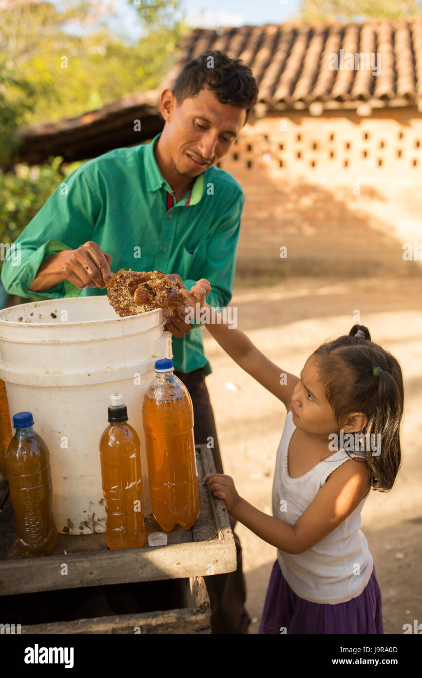 Une fille fraîchement récoltées goût du miel sur sa ferme dans la région de Léon Ministère, au Nicaragua. Banque D'Images