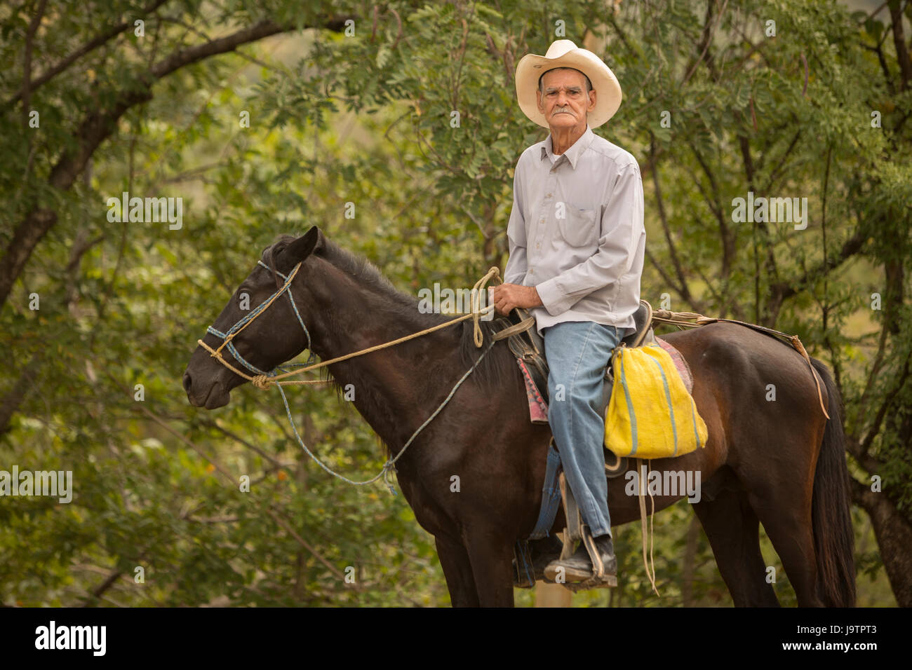 Un homme à cheval à travers El rural Municipalité Sauce, Léon Ministère, Nicaragua, où le miel et sésame UCASA coopérative a son siège social. Banque D'Images