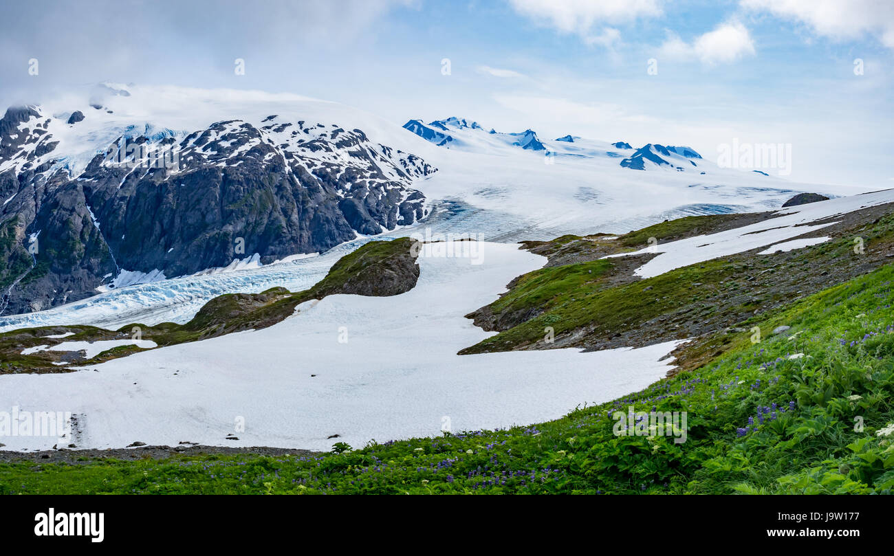 Vue panoramique du glacier à partir de la sortie La sortie Glacier près du sommet le long d'une journée de juillet avec enneigés des montagnes au loin et vert fo Banque D'Images