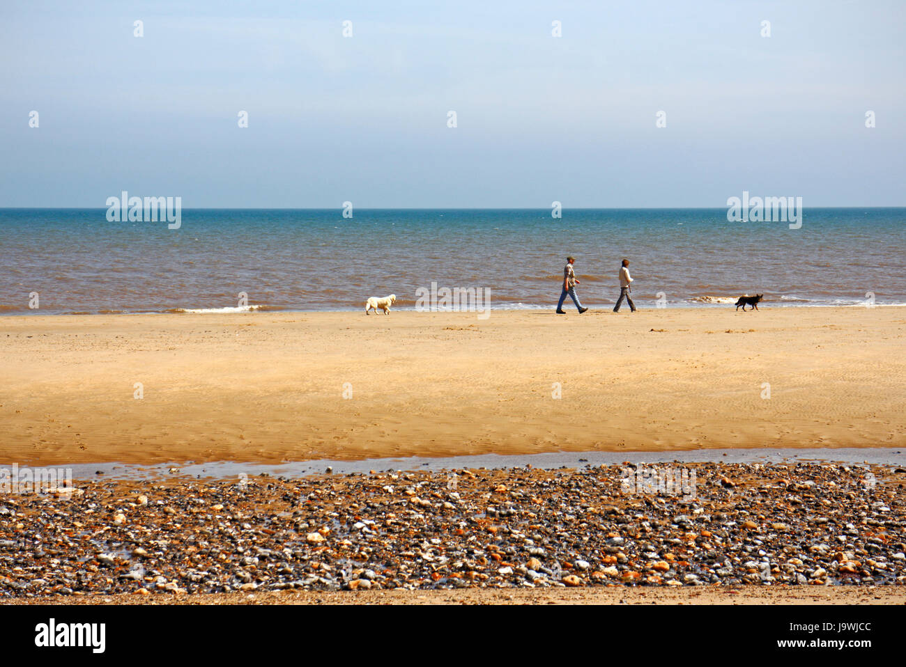 Un couple en train de marcher les chiens sur la plage à la station côtière de North Norfolk Mundesley-sur-Mer, Norfolk, Angleterre, Royaume-Uni. Banque D'Images
