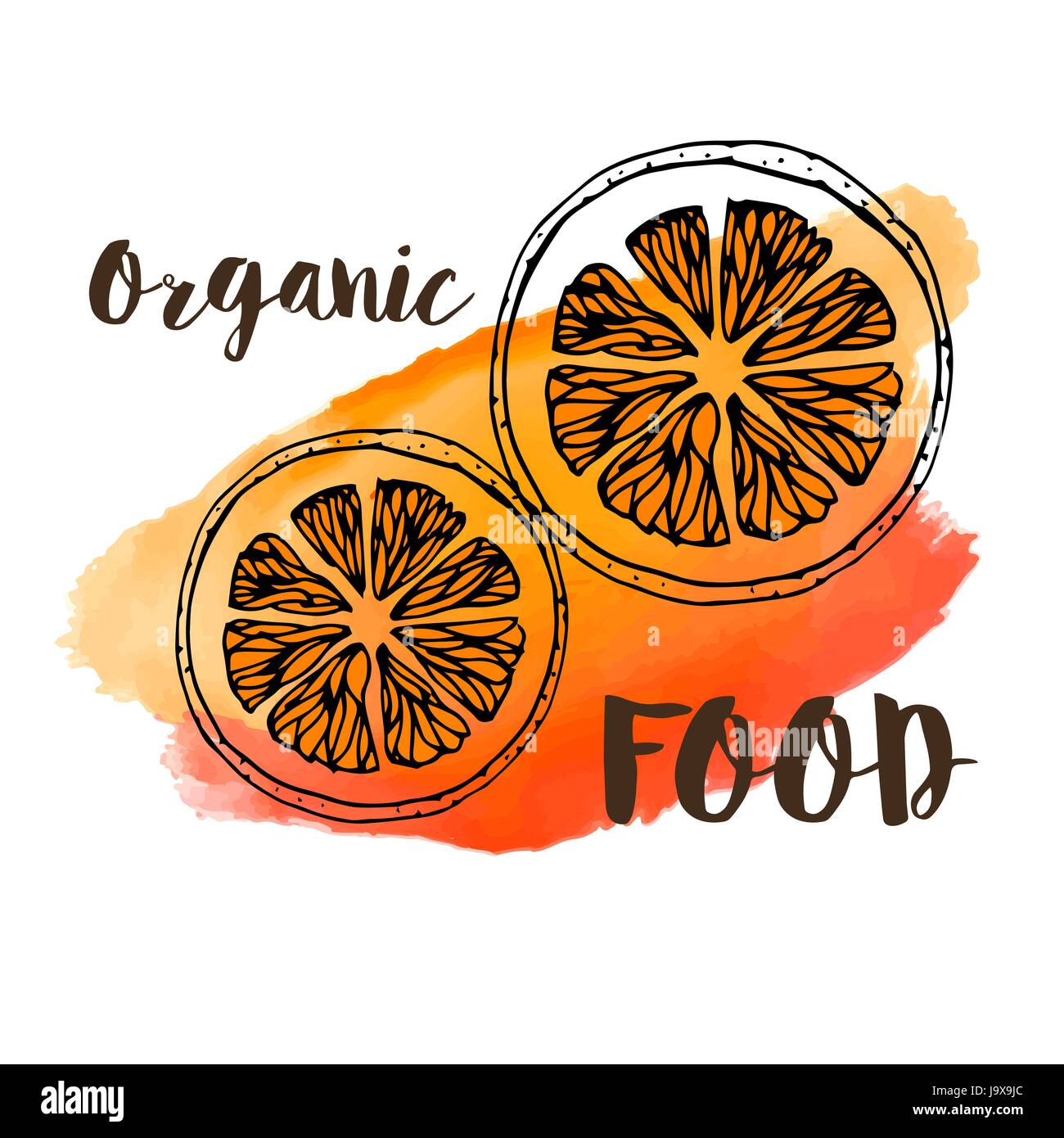 Orange sur fond aquarelle 'Organic food' Illustration de Vecteur