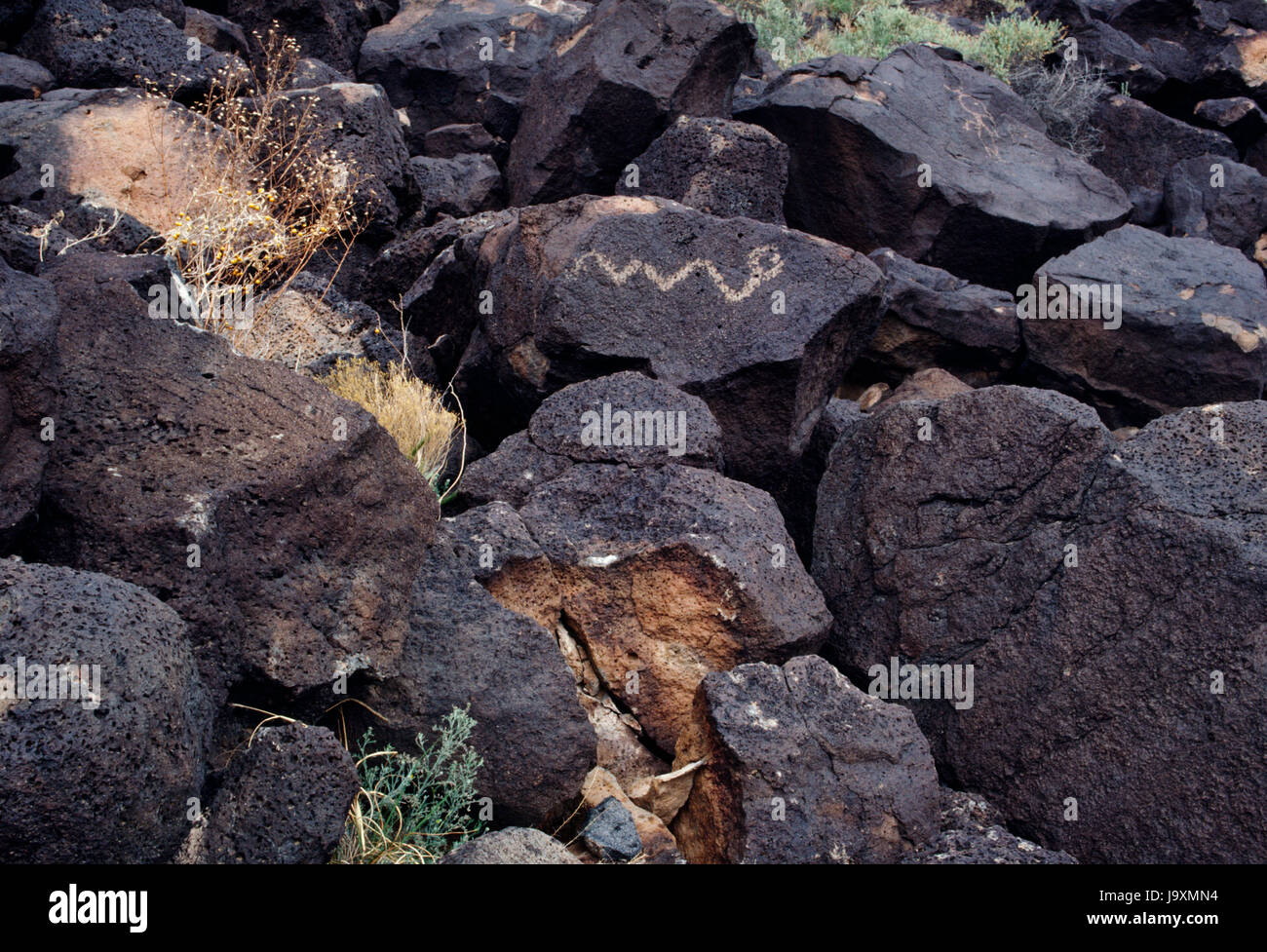 La sculpture d'un crotale Pueblo sur rochers basaltiques à Boca Negra Canyon, Monument national Petroglyph, Albuquerque, Nouveau Mexique, USA : Rio Grande Style. Banque D'Images
