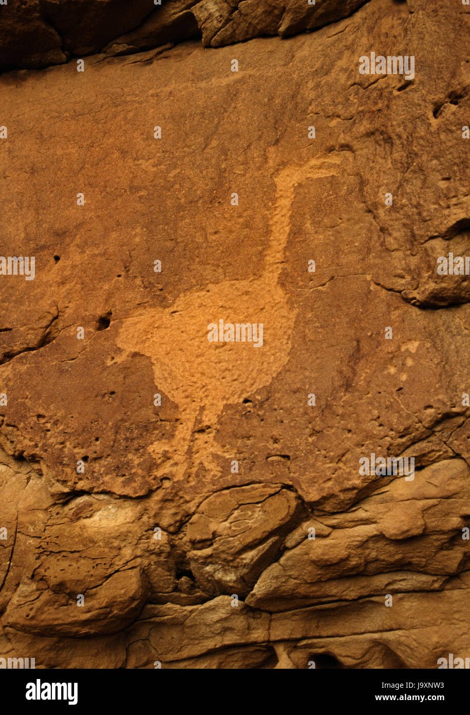 San Juan Anasazi, sculpture stylisée d'un oiseau (probablement une dinde) sur la paroi du canyon à Una Vida Pueblo, Chaco Canyon, New Mexico, USA. Banque D'Images