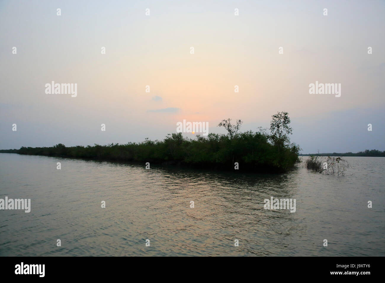 Le plus grand du monde de la forêt de mangroves des Sundarbans, célèbre pour le Royal tigre du Bengale et site du patrimoine mondial de l'UNESCO au Bangladesh. Banque D'Images