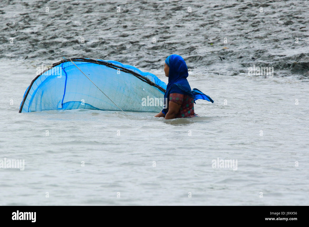 Une jeune femme attraper des crevettes sur la rivière Kholpetua dans les Sundarbans. Satkhira, au Bangladesh. Banque D'Images