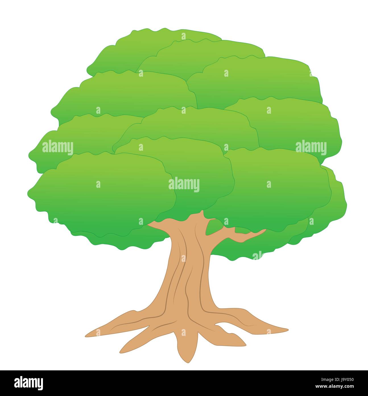 Grand arbre avec une couronne verte sur un fond blanc, vector illustration Illustration de Vecteur