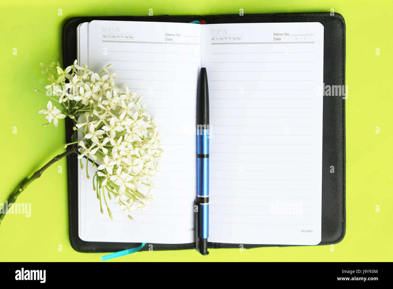 Fleur, plante, cuir, horizontal, agenda, bloc-notes, feuille de papier, papier, Banque D'Images