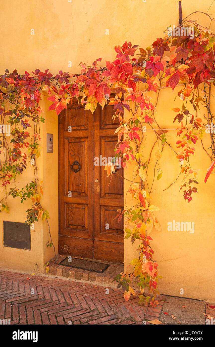 Les feuilles d'automne devant une porte à Pienza, Toscane - Italie Banque D'Images