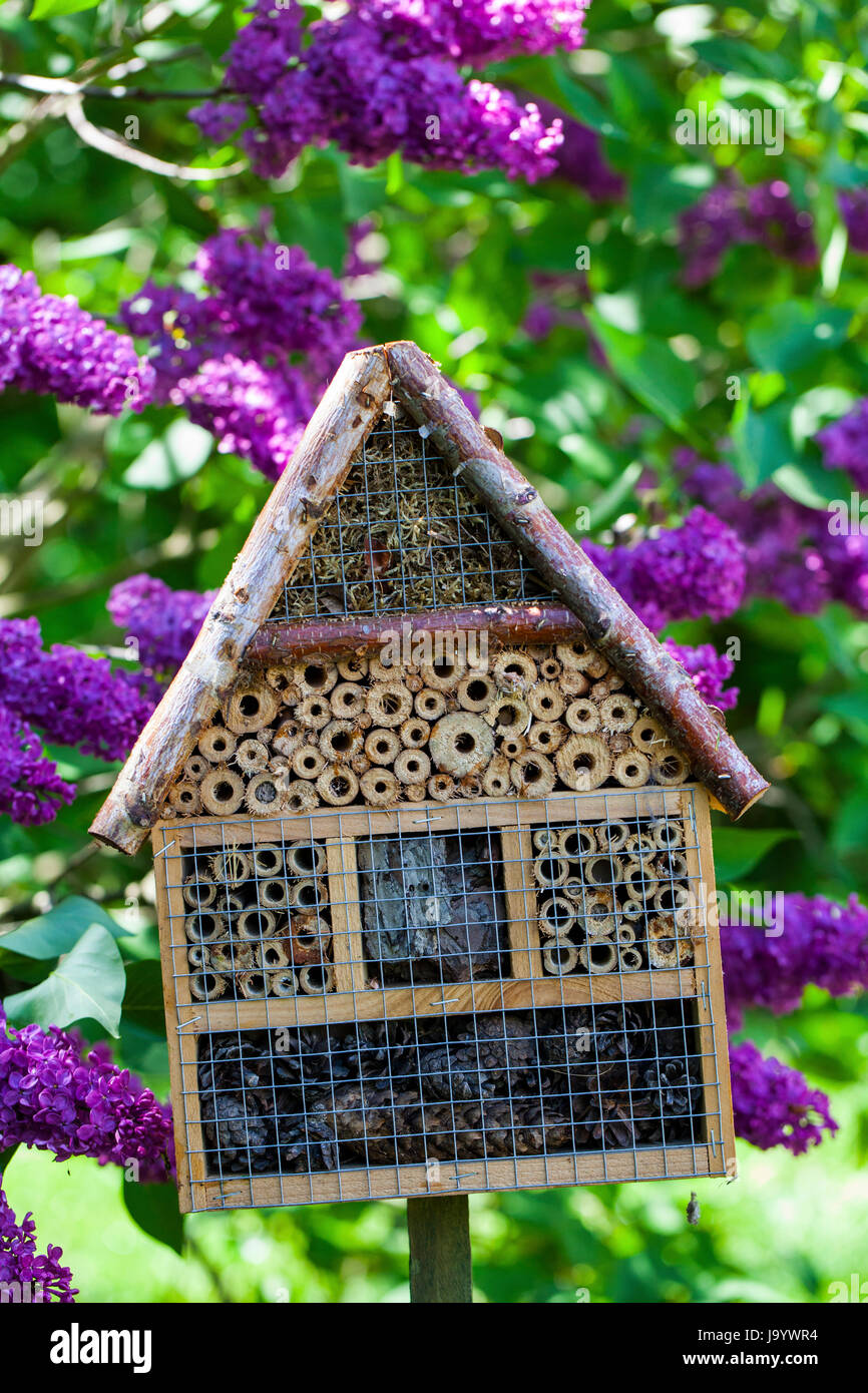 Maison des insectes dans un jardin d'été Banque D'Images