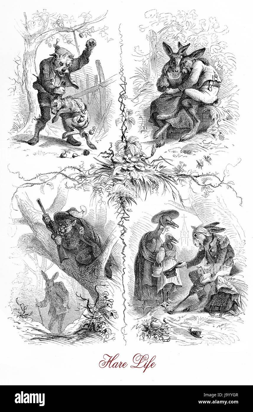 Hare, caricatures de la vie et de vignettes en forme de faity tale, XIX siècle Banque D'Images