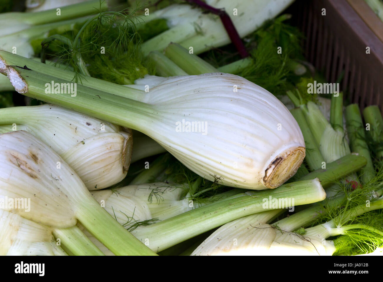 La nourriture, aliment, nourrir, vitamines, vitamines, vert, plante utile, botanique, Banque D'Images