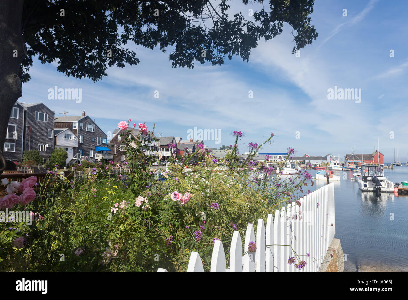 Vue panoramique de fleurs et motif numéro 1 dans l'arrière-plan à Rockport, MA. Banque D'Images