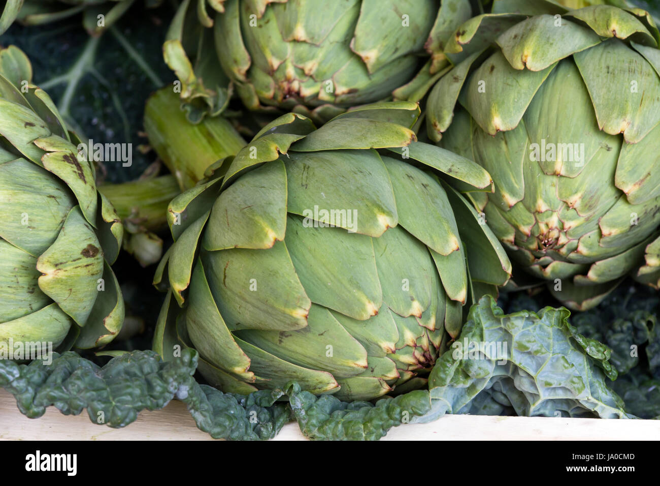 La nourriture, aliment, santé, vitamines, vitamines, vert, horizontal, légume, riche Banque D'Images