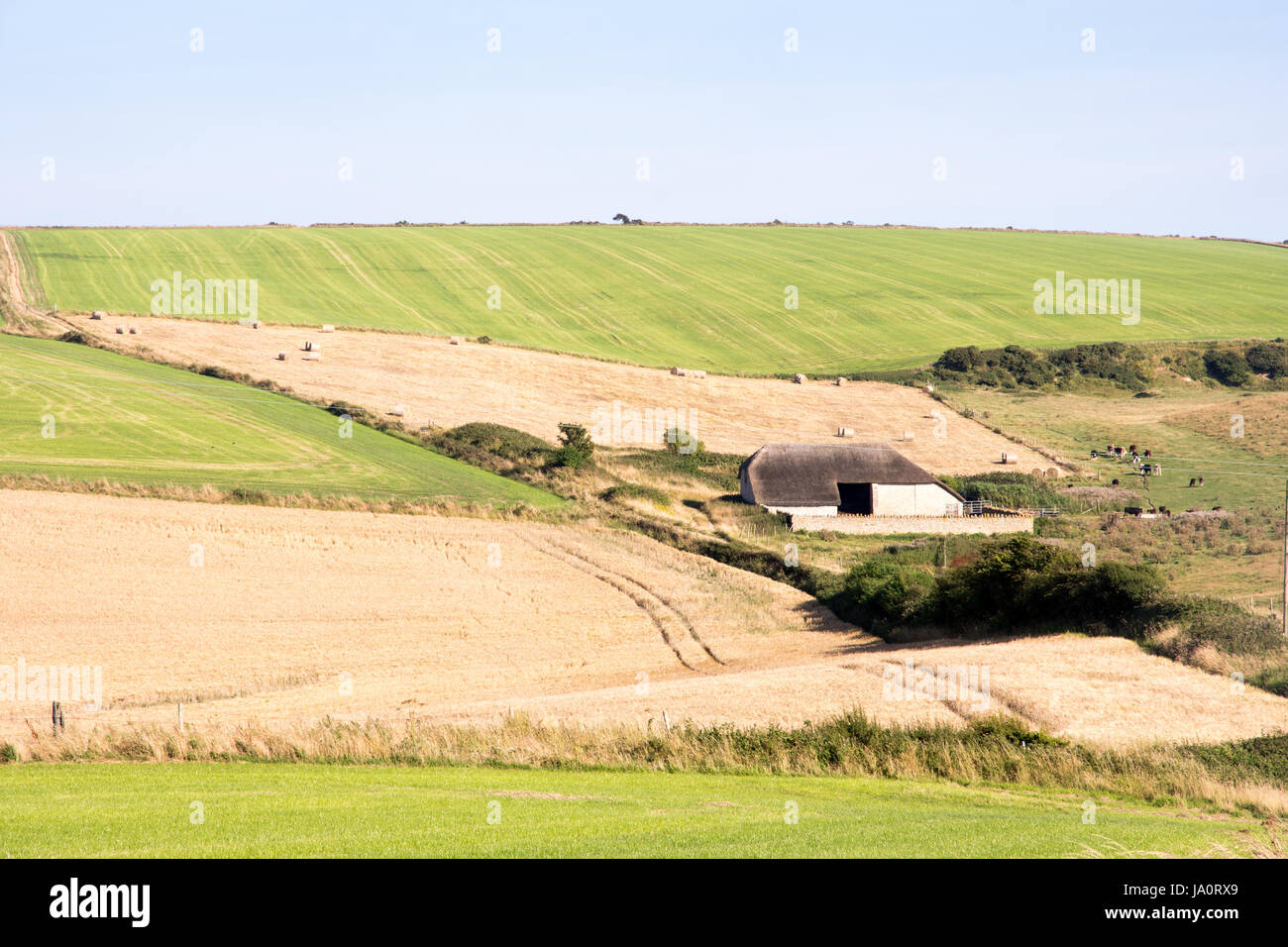 Une grange traditionnelle se trouve entre des champs de cultures céréalières, les pâturages et les bottes de foin dans le district de South Dorset Purbeck. Banque D'Images