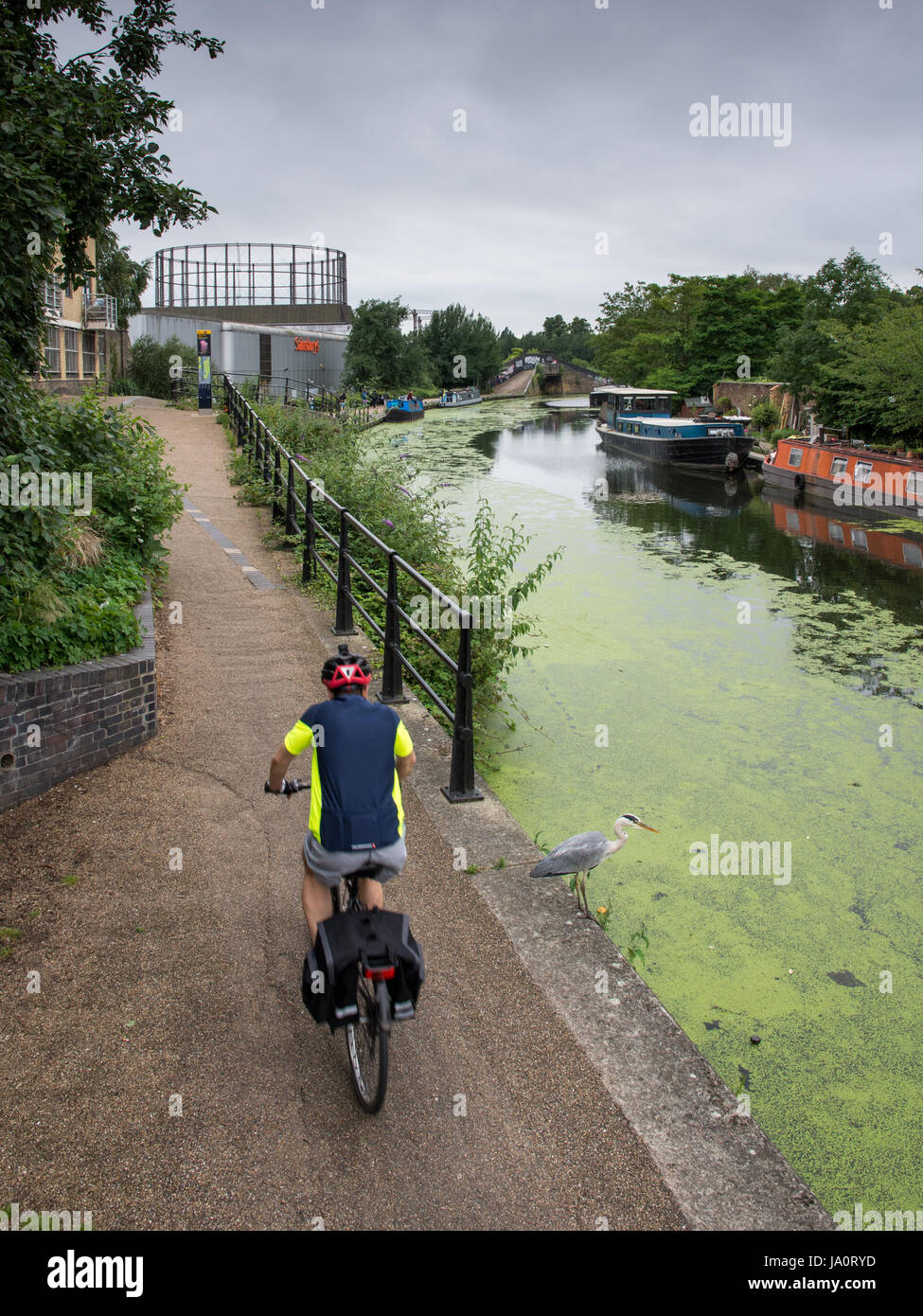 Londres, Angleterre - 15 juillet 2016 : Un cycliste passe un héron sur le Grand Union Canal de halage à Ladbroke Grove à l'ouest de Londres. Banque D'Images