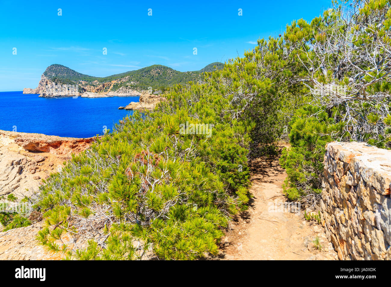 Sentier du littoral à Punta Galera Bay, île d'Ibiza, Espagne Banque D'Images
