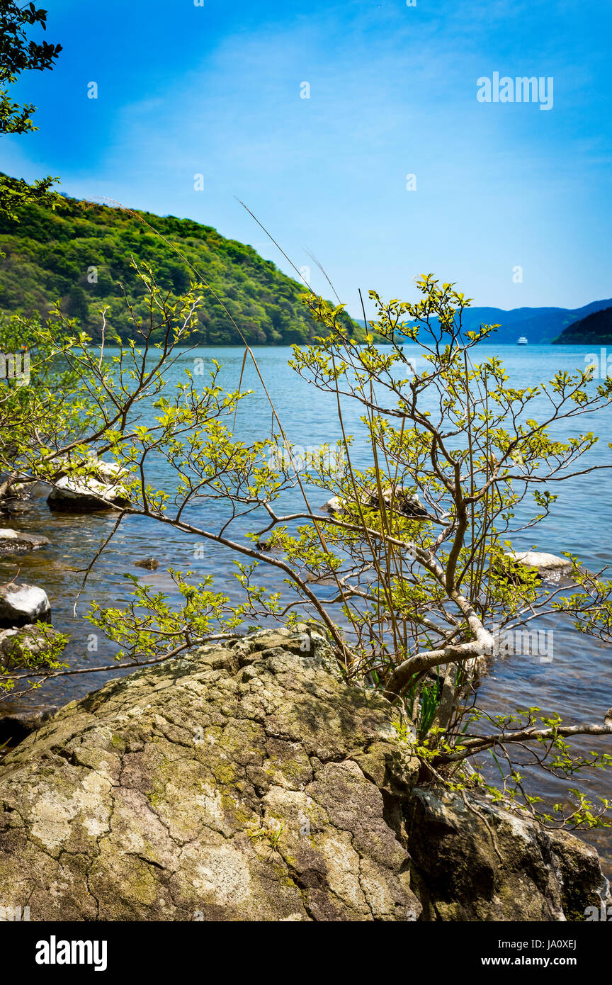 Par les rives du Lac Ashi, Hakone, Japon. Banque D'Images