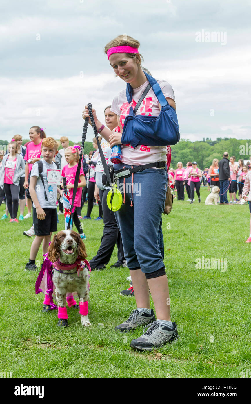 Abington, Northampton, Royaume-Uni 4 juin 2017. 5k de la recherche sur le cancer pour la vie, marcher, courir ou courir, 1700 arrivants pour cette après-midi événement qui serpente à travers Abington Park couvrant tous les domaines du parc pittoresque qui a débuté à 13 h. Credit : Keith J Smith./Alamy Live News. Banque D'Images