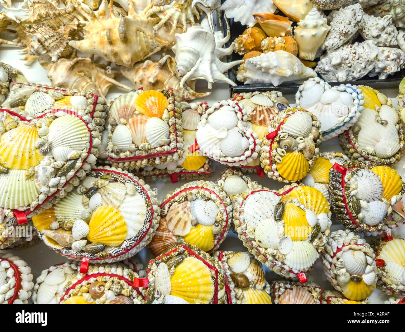 Coquilles de Mer en vente dans une boutique de souvenirs Banque D'Images